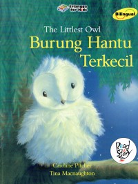 Image of Burung Hantu Terkecil ; The Littlest Owl