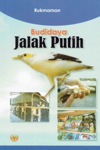 Image of Budidaya Jalak Putih