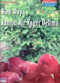 Image of Budi Daya jambu Air Kaget Delima